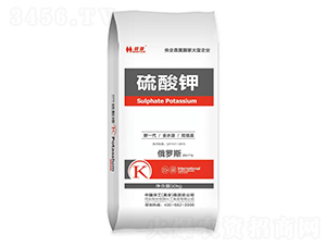 �����-���󻯹�