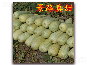 ��·����-��Ƥ��ϷN��-��·�N�I(y��)