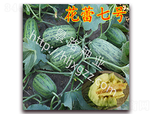 ������̖-��Ƥ��ϷN��-��·�N�I(y��)