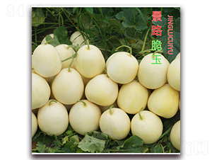 ��·����-��Ƥ��ϷN��-��·�N�I(y��)