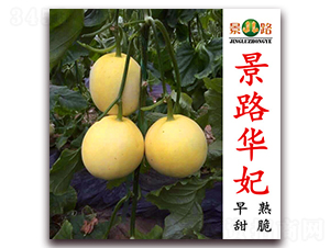 ��·�A��-��Ƥ��ϷN��-��·�N�I(y��)