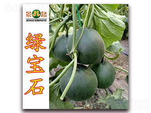 ��·�G��ʯ-��Ƥ��ϷN��-��·�N�I(y��)