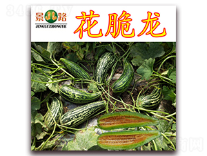 ��·������-��Ƥ��ϷN��-��·�N�I(y��)