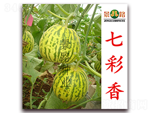 ��·�߲���-��Ƥ��ϷN��-��·�N�I(y��)