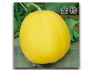 ��·����-��Ƥ��ϷN��-��·�N�I(y��)