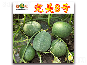 ��·����8̖-��Ƥ��ϷN��-��·�N�I(y��)