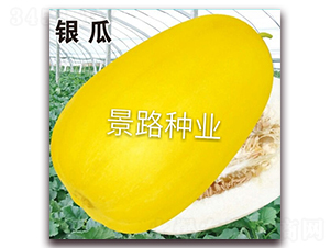 ��·�y��-��Ƥ��ϷN��-��·�N�I(y��)