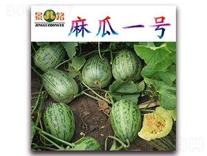 ���һ̖-��Ƥ��ϷN��-��·�N�I(y��)