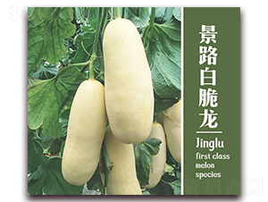 ��·�״���-��Ƥ��ϷN��-��·�N�I(y��)