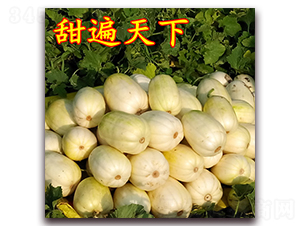 �������-��Ƥ��ϷN��-��·�N�I(y��)