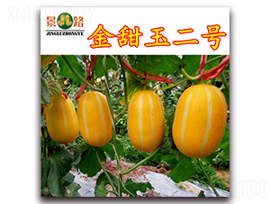 �������̖-��Ƥ��ϷN��-��·�N�I(y��)