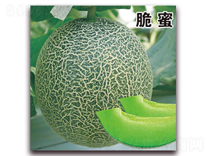 ����-��Ƥ��ϷN��-��·�N�I(y��)