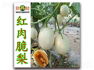 �t�����-��Ƥ��ϷN��-��·�N�I(y��)