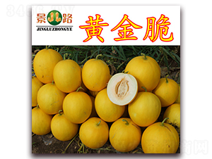 �S���-��Ƥ��ϷN��-��·�N�I(y��)