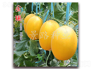 ��·���-��Ƥ��ϷN��-��·�N�I(y��)