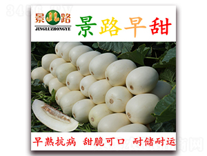 ��·����-��Ƥ��ϷN��-��·�N�I(y��)