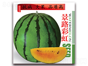 ��·�ʺ�-���ϷN��-��·�N�I(y��)