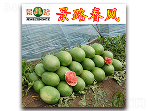 ��·���P-���ϷN��-��·�N�I(y��)