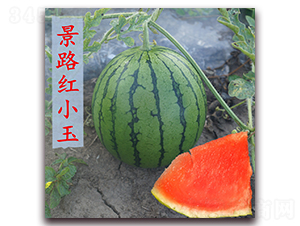 �tС��-���ϷN��-��·�N�I(y��)