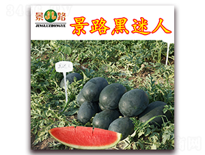 ��·������-���ϷN��-��·�N�I(y��)