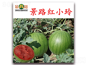 ��·�tС��-���ϷN��-��·�N�I(y��)