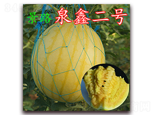 ��·Ȫ�ζ�̖-���ϷN��-��·�N�I(y��)