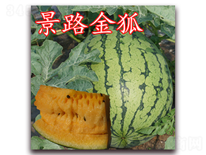 ��·���-���ϷN��-��·�N�I(y��)