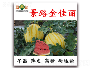 ��·�����-���ϷN��-��·�N�I(y��)