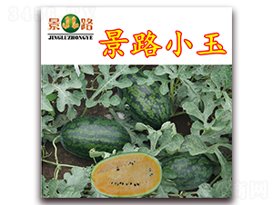 ��·С��-���ϷN��-��·�N�I(y��)