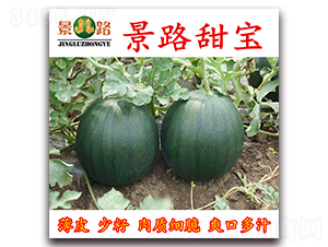 ��·����-���ϷN��-��·�N�I(y��)