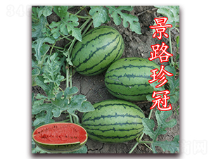 ��·���-���ϷN��-��·�N�I(y��)