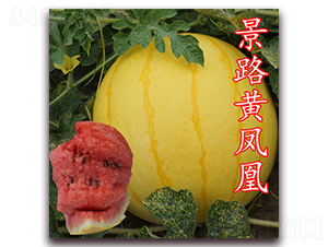 ��·�S�P��-���ϷN��-��·�N�I(y��)