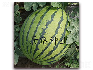 ��·��̖-�����ϷN��-��·�N�I(y��)