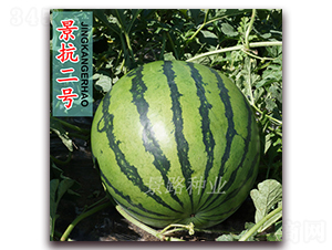 ������̖-�����ϷN��-��·�N�I(y��)