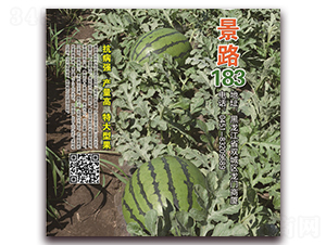 ��·183-�����ϷN��-��·�N�I(y��)