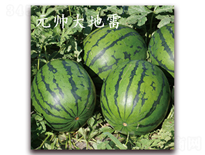 Ԫ�������-�����ϷN��-��·�N�I(y��)