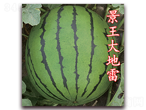 ���������-�����ϷN��-��·�N�I(y��)