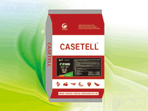 �VԴ�S�����-��ʩ��