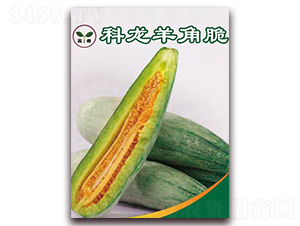 ������Ǵ�-��Ƥ��ϷN��-�����N��