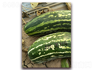 ����Y35-��Ƥ��ϷN��-�����N��