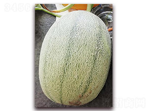 �¼t��25̖(h��o)-���ܹϷN��-�����N��