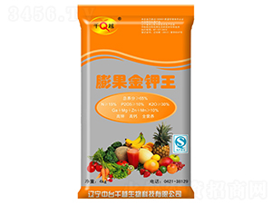 ��������-ǧԽ