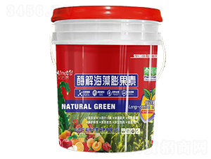 ø�⺣�������-���Z��