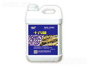 ʮ����-���Z��