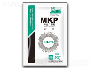 ��������-�ߵ�-���Z��