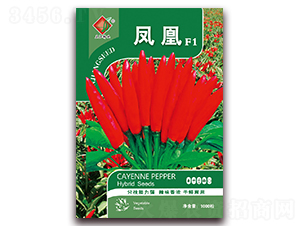 �P��F1-�����N��-�����N�I(y��)