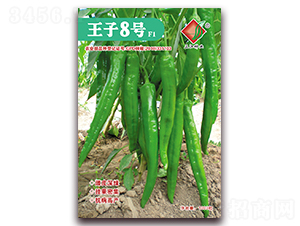 ����8̖(h��o)F1-�����N��-�����N�I(y��)