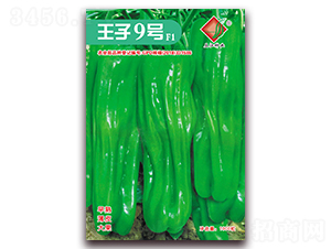 ����9̖F1-�����N��-�����N�I(y��)