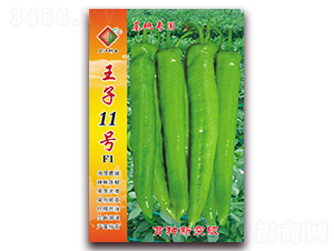 ����11̖(h��o)F1-�����N��-�����N�I(y��)