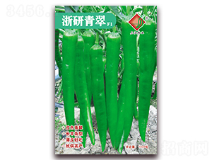 �������F1-�����N��-�����N�I(y��)